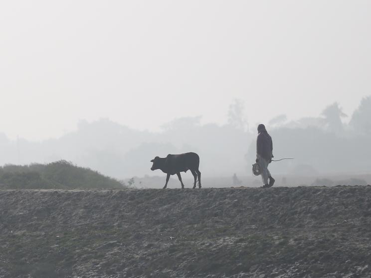 How winter is like your ex: A Dhaka memoir