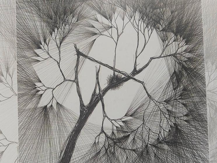 Broken Nest by Habibur Rahman.jpg