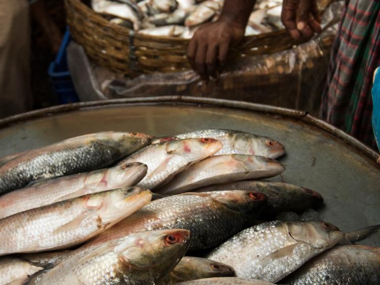 Rethink your food habits for affordable and healthy options