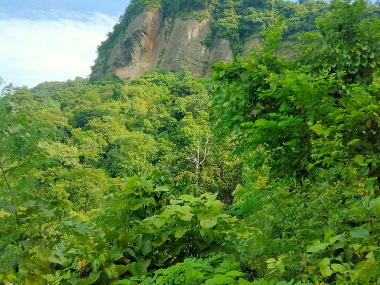 hills   Why you should explore Chattogram — the city of stories, shores, and surprises   zafor-iqbal-14qfrndvw78-unsplash.jpg