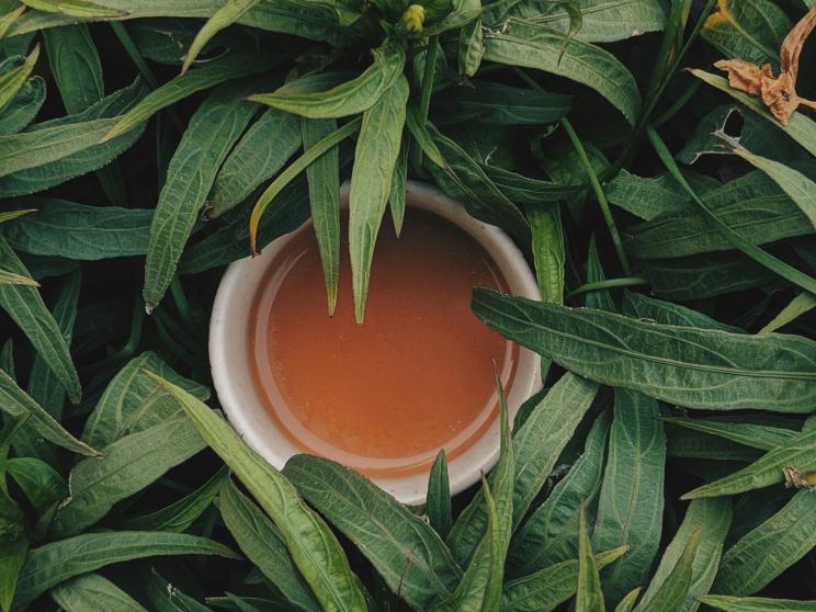 Is tea really healthy or just a comforting habit?       aniketh-kanukurthi-qaor6nxikum-unsplash.jpg