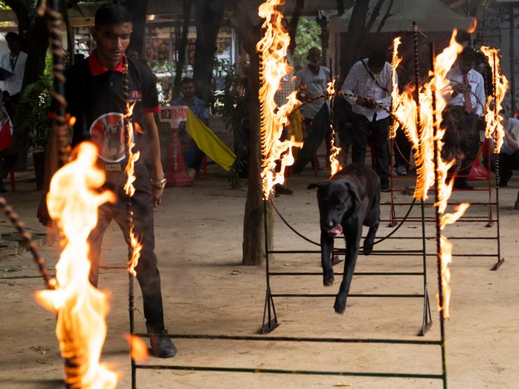 The Flow Fest 2025: Redefining wellness with purpose