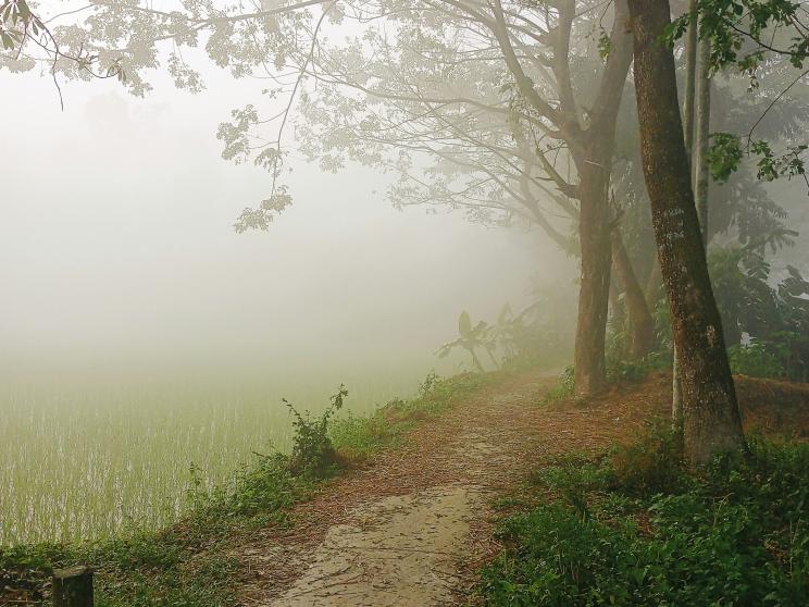 Bangladesh’s coldest season is also its most dramatic    mahabub-rahman-mls7somu0i4-unsplash.jpg