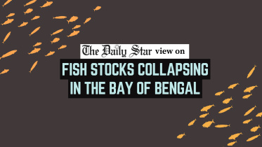 Bay of Bengal fish crisis Bangladesh