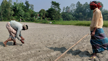Kurigram brahmaputra shoal-02.jpg