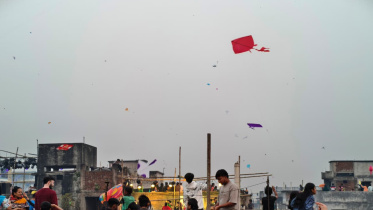 WhatsApp Image 2026-01-21 at 3.23.13 PM.jpeg