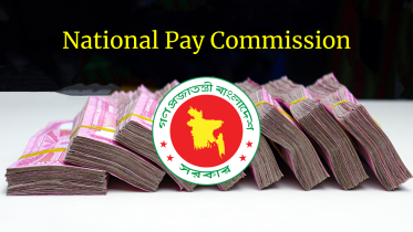 pay commission.png