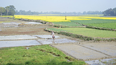 Agriculture Outlook 2050