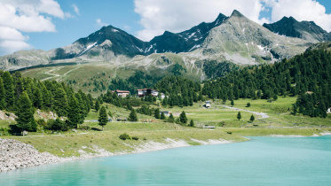 Austria(a) pexels-brian-de-karma-806590-1686302.jpg