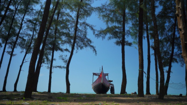 Explore the untouched landscapes and cultures of Cox’s Bazar