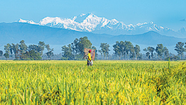 Panchagarh tourism