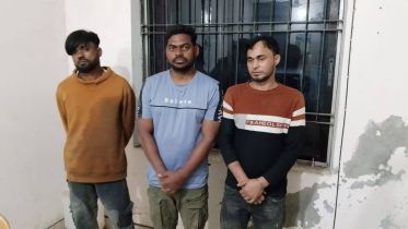 Untitled design (3).png