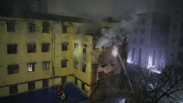 WhatsApp Image 2026-02-17 at 00.31.21.jpeg