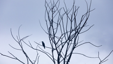 _OC_2166-Enhanced-NR copy.jpg