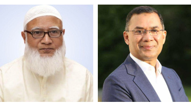 compilation II (1).jpg