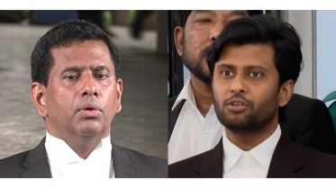 compilation II (57).jpg