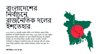 manifesto website.jpg