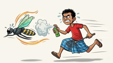 Keep your home mosquito free with these smart solutions