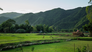 Planning a quiet trip? Netrokona offers nature without the crowd