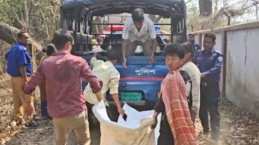 Bandarban Sadar upazila mother daughter death