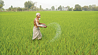 Rajshahi-Farmer.jpg