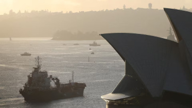 SydneY_OIL.jpg