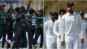 ipiccy_image (25).jpg