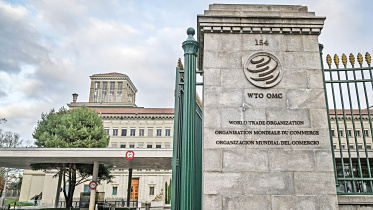 wto-office.jpg