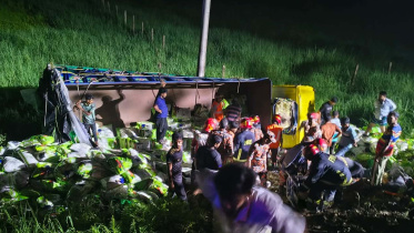 7 die as rice-laden truck falls into ditch in Daudkandi
