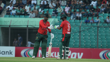 BCB01158.JPG