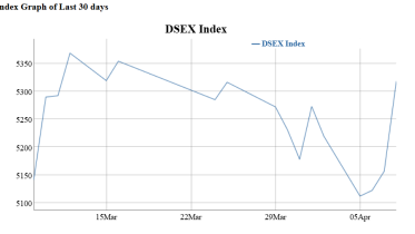 DSE index.png