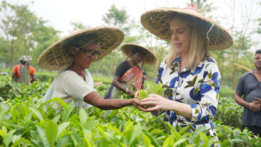 Kathleen Sherwin, President and CEO of Orbis International