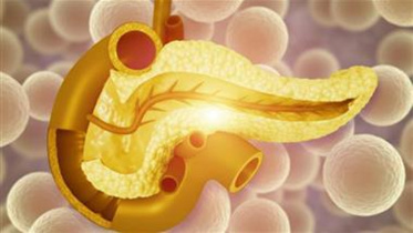 Pancreatic-fat.jpg