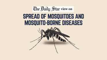Mosquito spread and diseases in Bangladesh