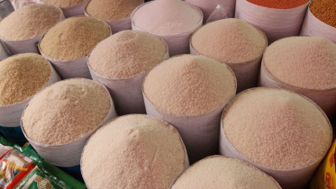 food-grains.jpg