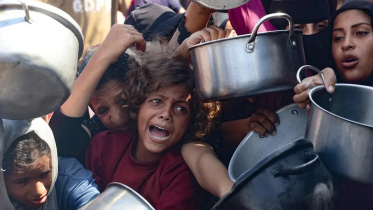global-food-crisis.jpg
