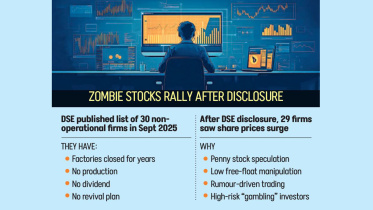 zombie firms bd.JPG