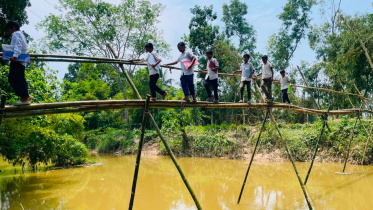 A-bamboo-bridge.jpg