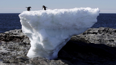 Antarctic-Peninsula-Temperatures.jpg