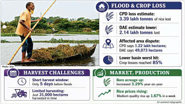 Bangladesh haor flood damage | Haor Boro rice loss