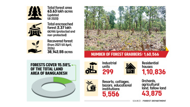 forest-graph.jpg
