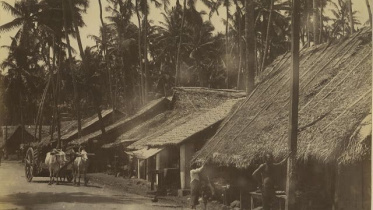 Jibanananda Das Bonolata Sen