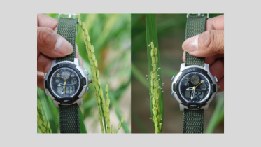 Agri watch.jpg