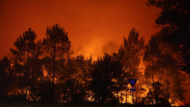 FranceWildfireEnvironment.jpg