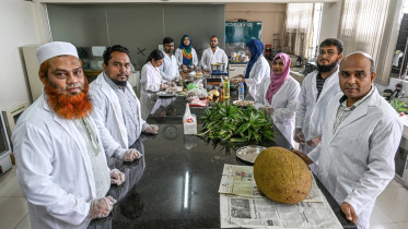 Gazipur Agricultural University jackfruit seed technology