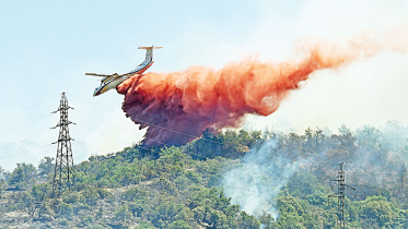 Wildfires.jpg