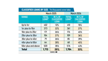 classified loans.jpg