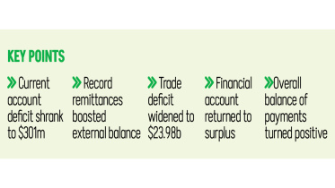 remittances.jpg