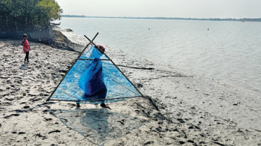 Salinity in Bangladesh
