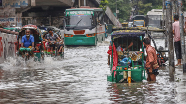 waterlogged-city-parts.jpg